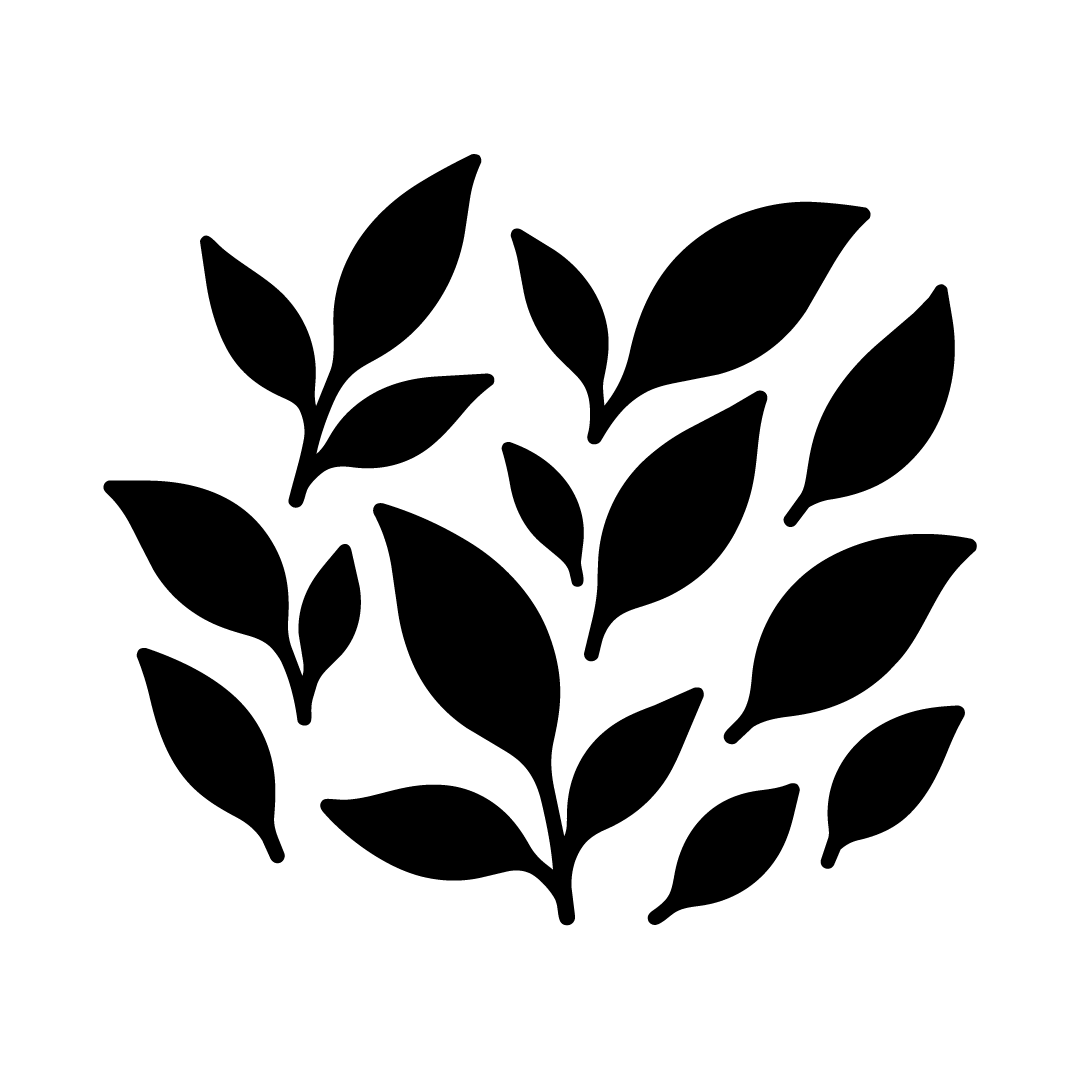 Black Tea