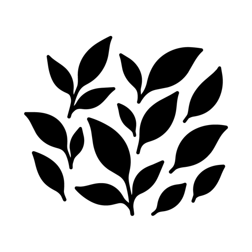 Black Tea